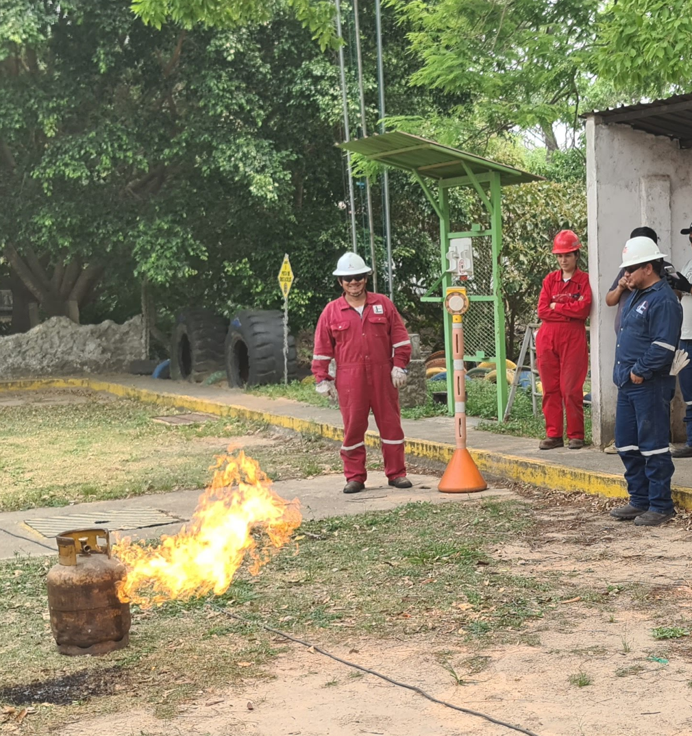 Proyecto con Sinopec International